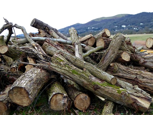 logs wood malvern view malvernhills worcestershire bark field