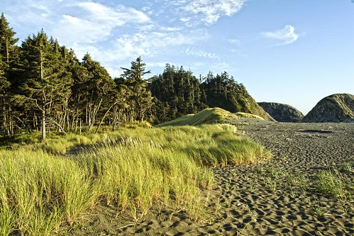 ocean travel vacation clouds oregon sand driftwood grasses pinetrees sanddunes portorford garrisonlake oregongps