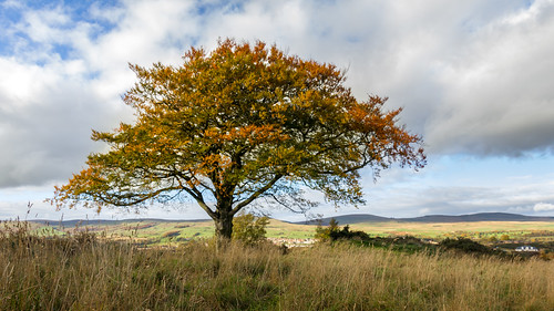 autumn sky tree field canon landscape eos scotland kilsyth croy campsiehills chriscameron 2013 550d