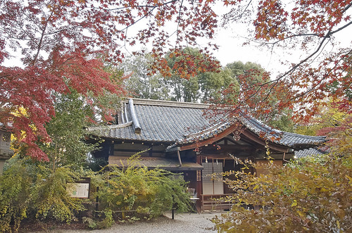 【写真】2013 紅葉 : 梨木神社/2020-09-17/IMGP4284