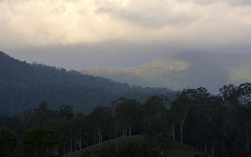 forest landscape countryside rainforest australia nsw cloudscape lateafternoon northernrivers tweedrange borderrangesnationalpark richmondvalley barmountain nationalparksandnaturereserves
