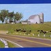 Postcard Greetings From Platteville WI Cows Grazing in Contentment-1
