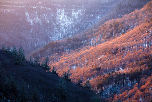 valley trees gorge mountains sunrise winter hudsonvalley nature kaaterskillclove hudsonriverschool newyork clove ny firstlight wilderness catskills