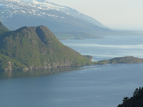norway landscape norge landskap helgeland nordland vefsn husvika halsfjord