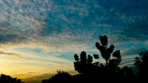 aperture bangkok beautiful cloud cloudscape colorful dramatic epic inspirational landscape poetic romantic silhouette sky sunrise sunset thai thaiphotographer thailand fuji xpro 1 fujifilm xpro1 fujix x skyathome vsco