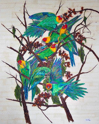 carolina-parakeets-paper-collage