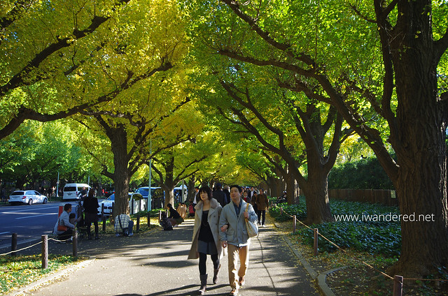 Tachikawa Park  The Official Tokyo Travel Guide, GO TOKYO