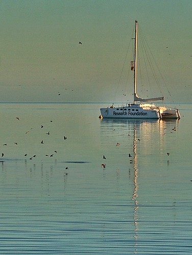 reflection sunrise boat indianocean australia westernaustralia monkeymia sailingboat morningcalm