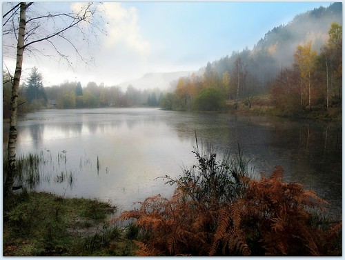 autumn trees mist fog walking landscape scotland dundee loch dunkeld canong12 ericrobbniven inspiringcreativeminds