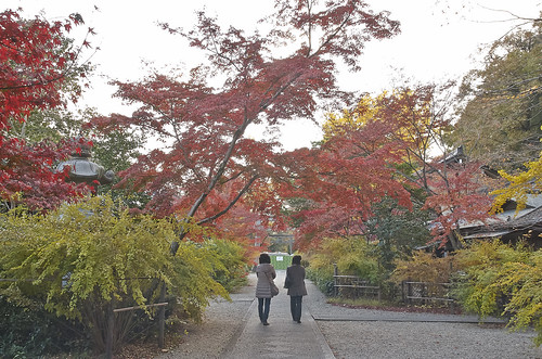 【写真】2013 紅葉 : 梨木神社/2020-09-17/IMGP4282