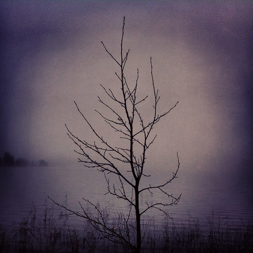 lake tree nature misty landscape sweden lonely iphone värmland instagram