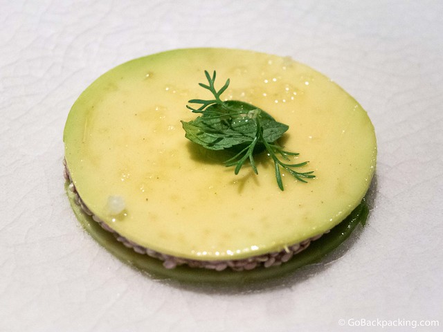 Round slices of avocado sandwich a seed-covered mole in the middle