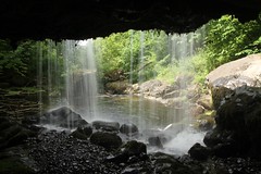 Campsie Glen Waterfall