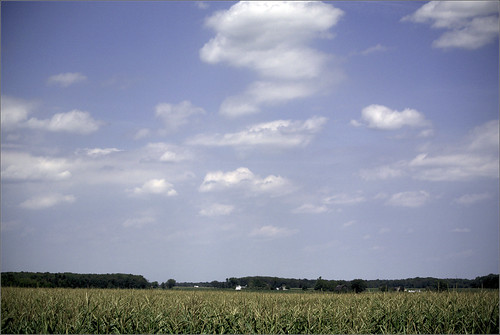 sky field clouds corn raw joeldinda 1v1