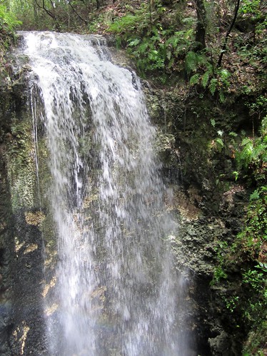 nature outdoors waterfall florida fallingwatersstatepark
