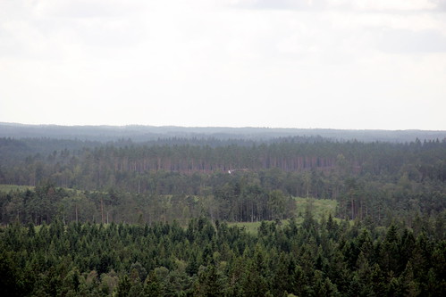 småland skog utsikt exkursion kronoberg 2013 hunnsberget skogshistoria hunnsbjär