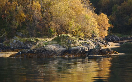 autumn friends nature water norway norge scandinavia hurtigruten