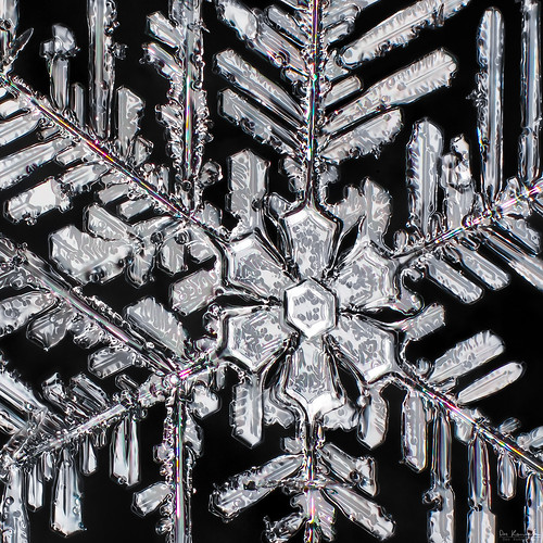 snowflake winter snow cold macro ice geometric nature water beauty crystal flake symmetry mpe donkom skycrystals