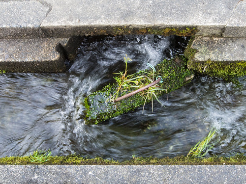 street green water moss flowing hyogo drainage tanba hikami drainageflowinggreenhikamihyogojapanmossstreettanbawater 35°1050n135°03e