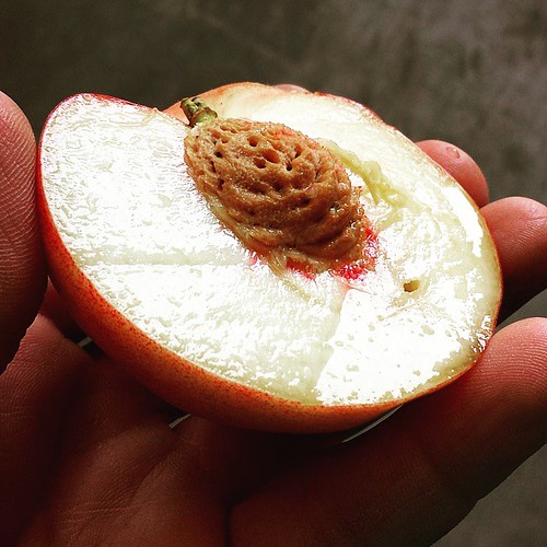 It's White Peach season you guys! 😍😍😍 #peaches #yum