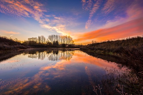winter light england sky lake tree water clouds sunrise reflections countryside kent nikon quiet peace sigma tranquility calm contrails ultrawide maidstone lightroom sigma1020 d7100 blinkagain bestofblinkwinners blinksuperstars bestofsuperstars blink4gallery