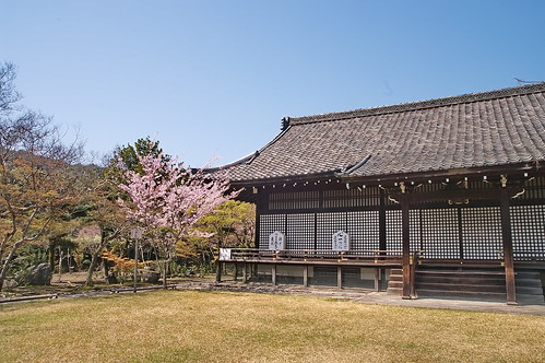 【写真】2013 桜 : 勧修寺/2021-02-03/IMGP9900