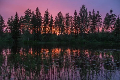 trees sunset lake night reflections finland cycling purple silhouettes clear ddd waterlillies biketrip utajärvi northernostrobothnia