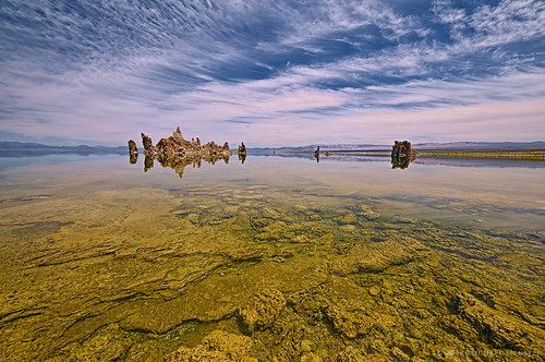 california ca lake reflection nature water reflections landscape reflecting mono nikon underwater monolake tufa calciumcarbonate tufatowers alkalinelake d700 samyang14
