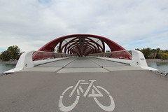 Calgarys peace bridge.