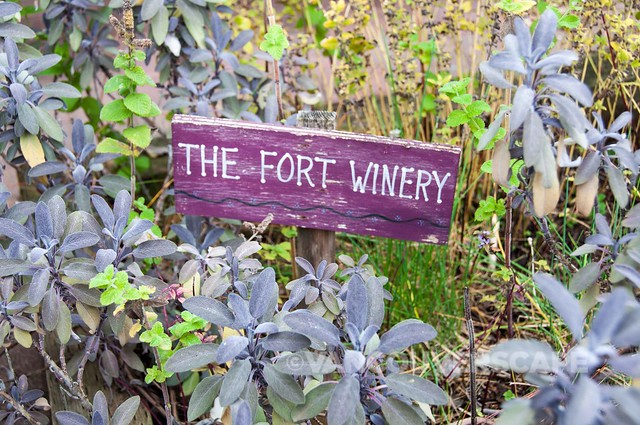 The Fort Wine Company