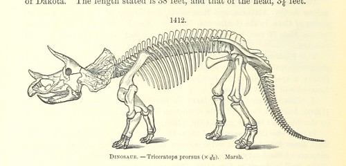 Image taken from page 856 of '[Manual of Geology: treating of the principles of the science with special reference to American geological history ... Revised edition.]'