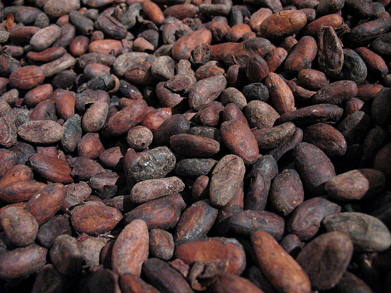2. Granos de cacao. La moneda de los aztecas. Autor, SuperManu