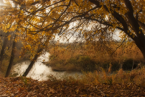 españa paisajes valencia spain flora otoño rios comunidadvalenciana pedralba