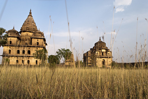 travel india building travelling grass architecture buildings asian asia village spires indian tomb spire dome cenotaph domes tombs southasia southasian traditionalarchitecture madhyapradesh orchha longgrass travelphotography cenotaphs indianarchitecture asianarchitecture chhatri chhatris madhyapradeshi
