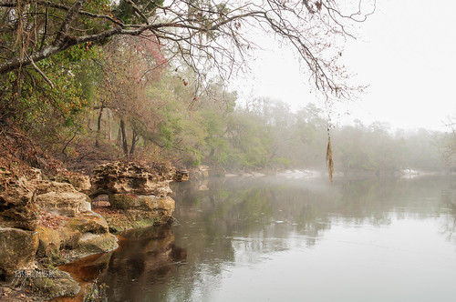 fog river rocks jasper unitedstates florida liveoak suwannee suwanneeriver