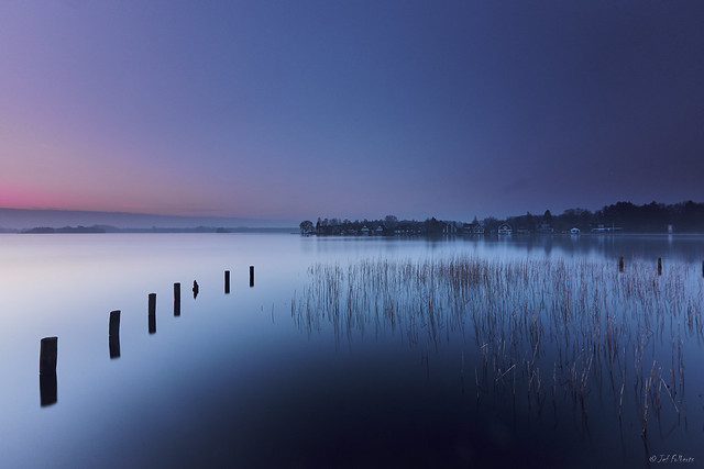 Blue morning at the lake