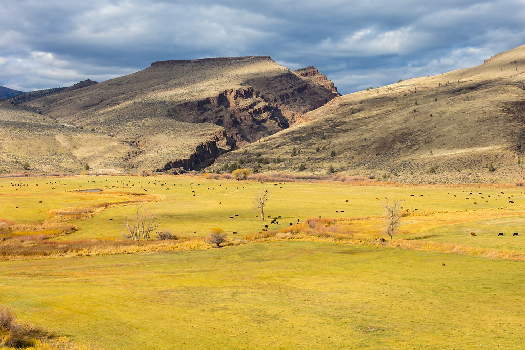 Oregon. John Day Fossil Beds