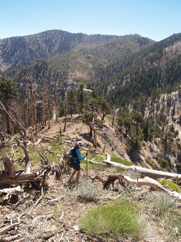 Heading down the east ridge of Mount Islip toward Windy Gap, Throop Peak in the distance