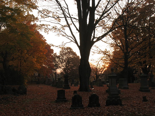 morning cemetery boston sunrise ma massachusetts dorchester cedargrove