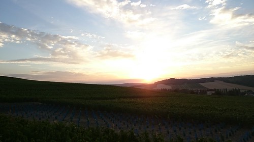 nature sunrise landscape vines champagne sony vineyards hdr xperiaz1