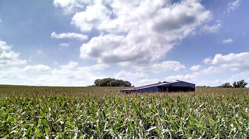 old abandoned field landscape corn ks shed kansas