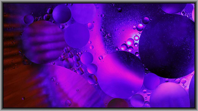 purple color optical density