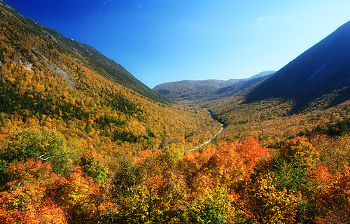 park new railroad autumn trees england white mountain fall leaves forest state conway scenic whitemountains hampshire national crawford notch