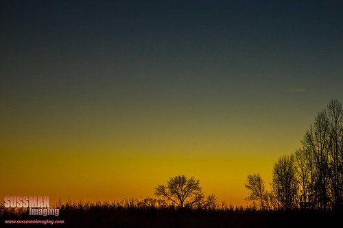 sunset sky nature silhouette georgia jefferson jacksoncounty thesussman sonyalphadslra550 sussmanimaging