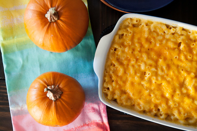 This is a great collection of pumpkin recipes - from savory macaroni and cheese to sweet whoopie pies. Enjoy these pumpkin recipes during Fall season - the best time of the year!