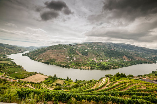 portugal rio port river wine valley douro vinho portogallo santacristina vilarealdistrict
