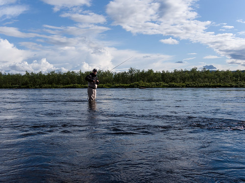nature water finland river fishing flyfishing vesi luonto joki kalastus perhokalastus enontekiö henkilö norrbottencounty könkämäeno tuomohalonen