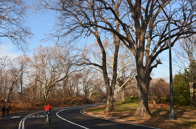 En bicicleta por Central Park de Nueva York