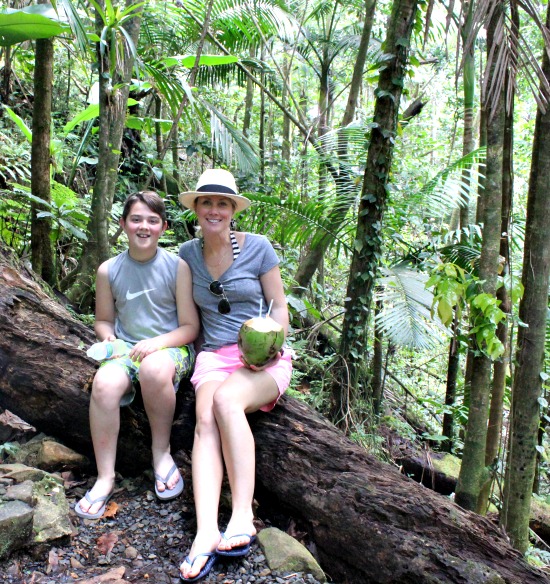 Hi Sugarplum | El Yunque Rainforest