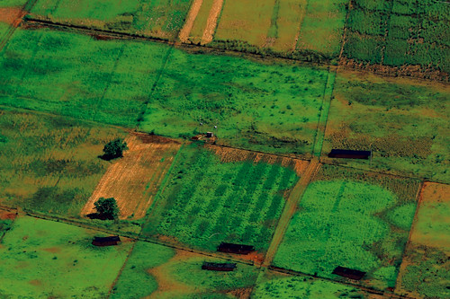 yucatán mexique agriculture paysage agricole